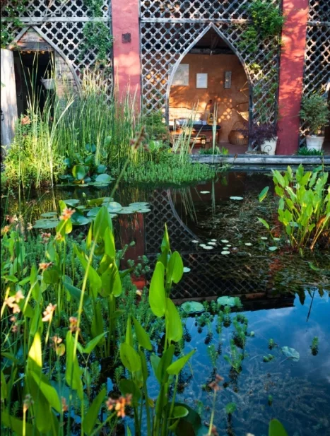 Le jardin des paradis Cordes-sur-ciel