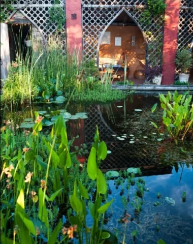 Le jardin des paradis Cordes-sur-ciel