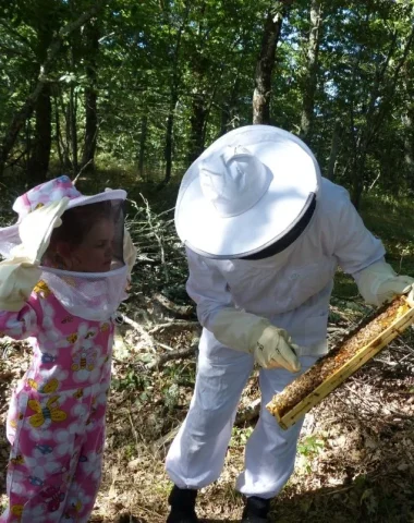 Activités nature & environnement