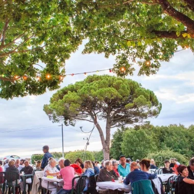 Chai mon Vigneron L’été