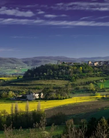 De Gaillac à Castelnau-de-Montmiral