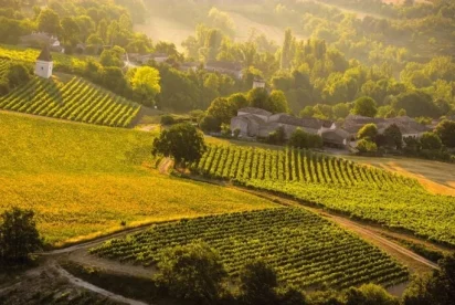 Partir en quête des secrets de la bière à Cordes sur Ciel