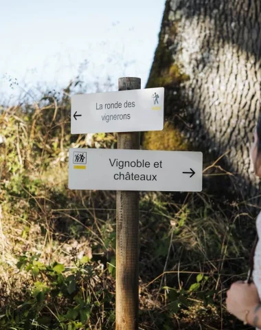 Randonnées dans le vignoble