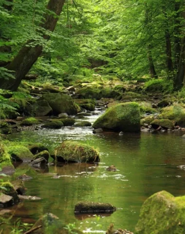 La vallée de Bonnan et de l’Aveyron