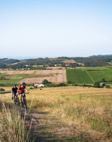 Entre vignes et coteaux