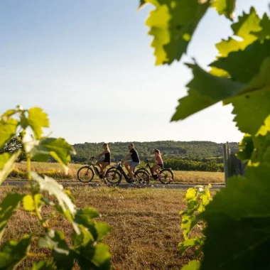 Quand on partait sur les chemins… à bicyclette