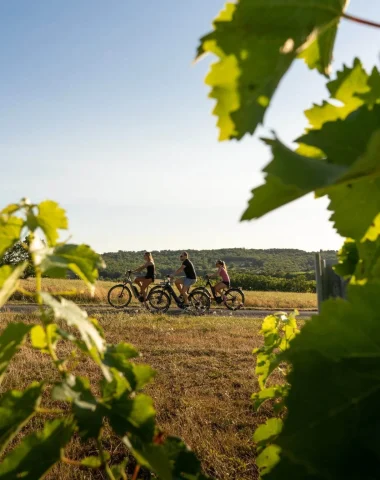 Quand on partait sur les chemins… à bicyclette