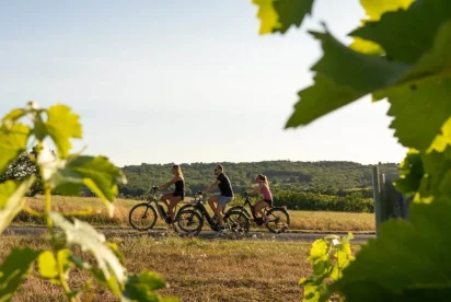 Partir en quête des secrets de la bière à Cordes sur Ciel