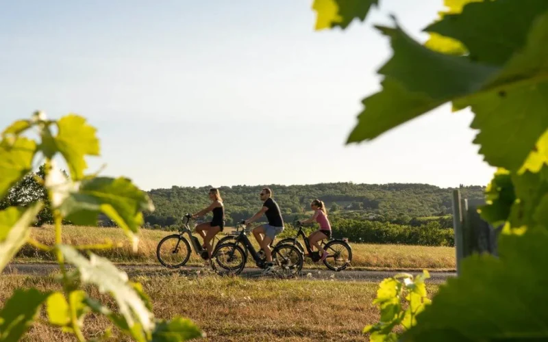 Le vignoble de Gaillac