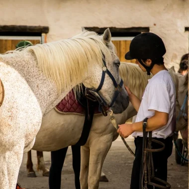 À cheval pour une balade inoubliable