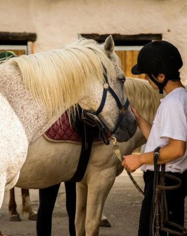 À cheval pour une balade inoubliable