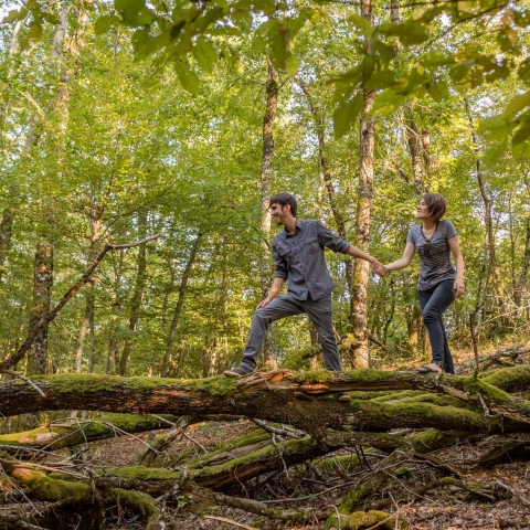 balade en forêt de Grésigne