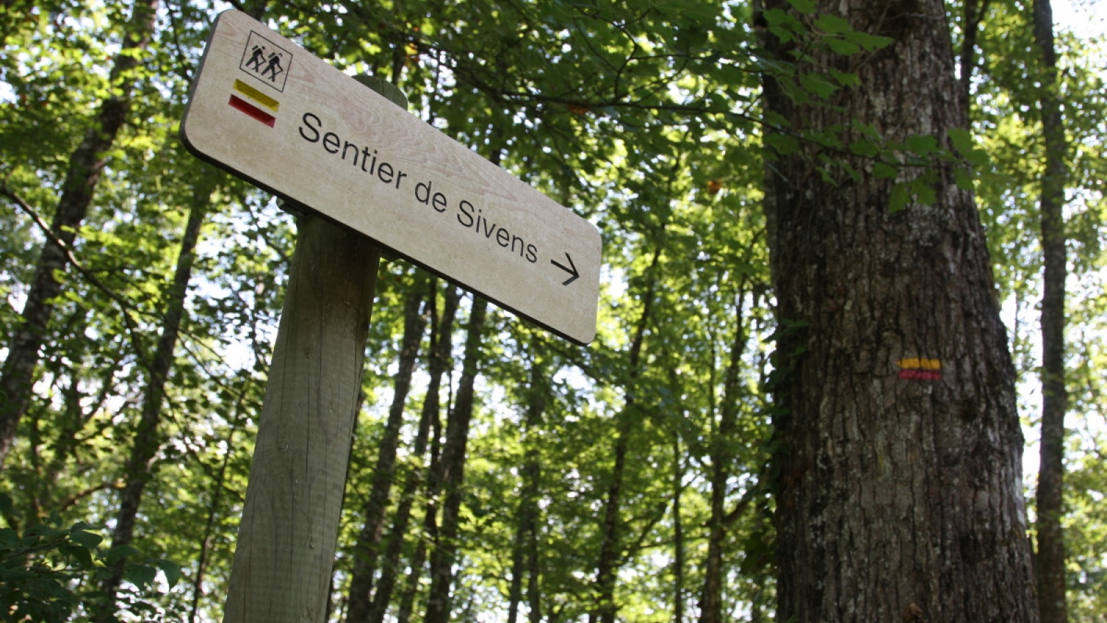 Sentier de randonnée de Sivens dans le Tarn