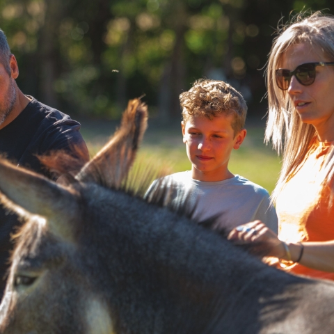 Balade à dos d'âne en famille