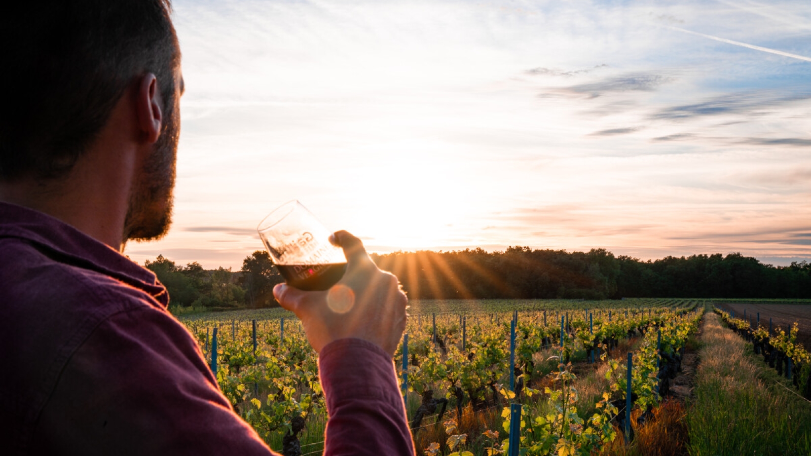 Personne qui boit un verre de vin au bord des vignes devant le coucher de soleil