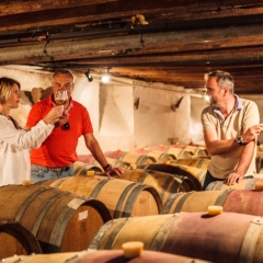 CHAI mon Vigneron au Château de Terride