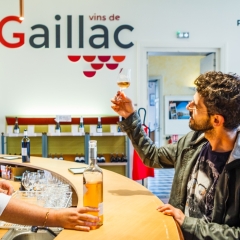 Atelier Dégustation Maison des vins de Gaillac