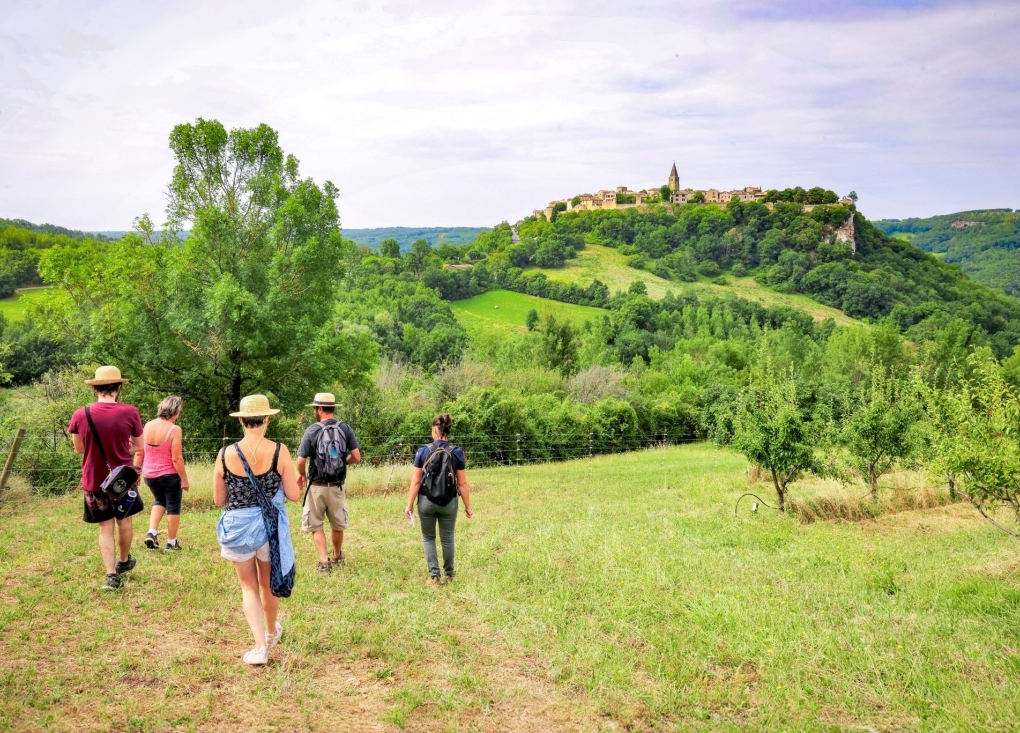 Visite guidée gratuite au Conservatoire Départemental d'espèces fruitières et vignes anciennes