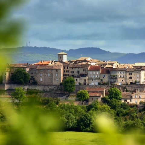 Demi-Journée : "Castelnau-de-Montmiral"