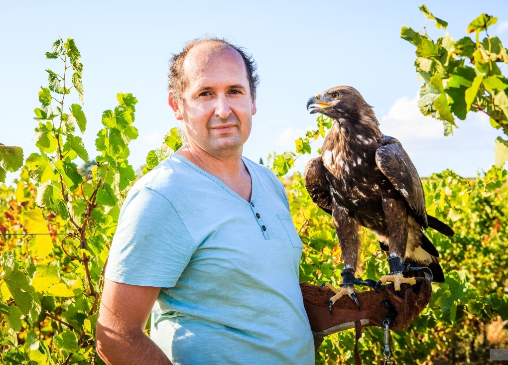 Visite dans les vignes avec Rapaces - Domaine du Moulin