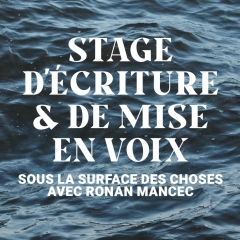 Sous la surface des choses - stage d'écriture