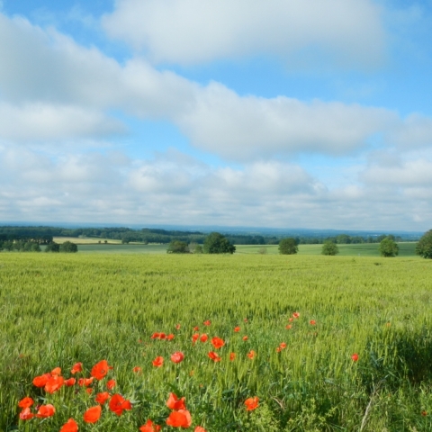 Rythmes de la Terre