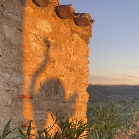 Chambre Cordes