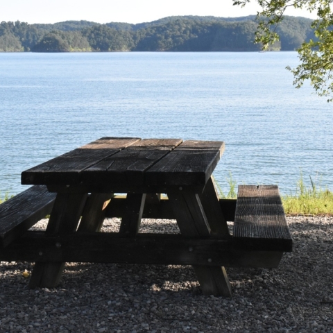 Aire de pique-nique de la Sauzière-Saint-Jean