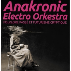 Anakronic Electro Orkestra en concert