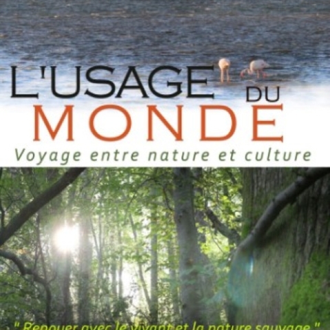 Projection :  L'usage du monde - Cinéma