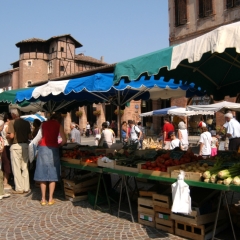 Petit marché de Gaillac