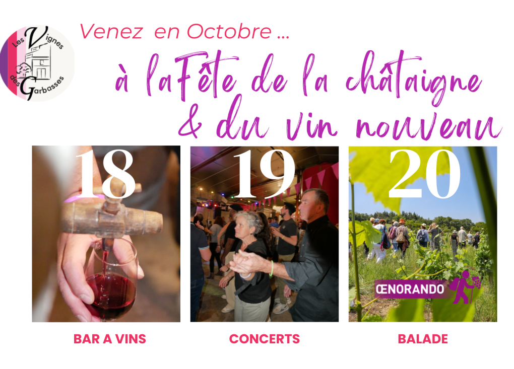 Vin nouveau et châtaignes