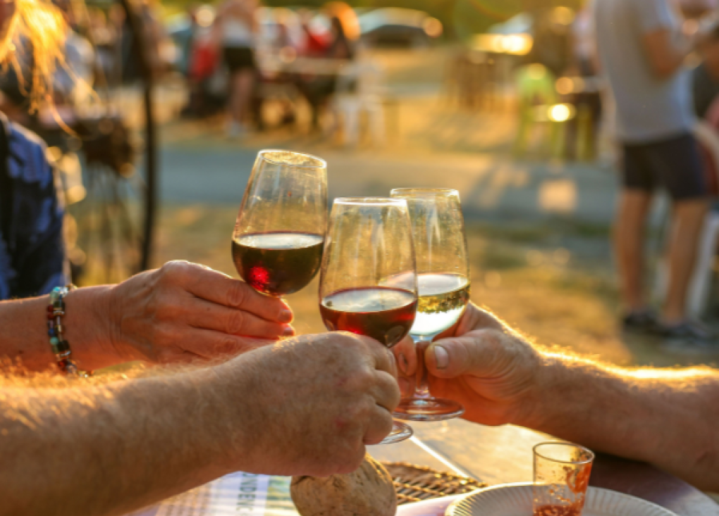 Vignes des Garbasses