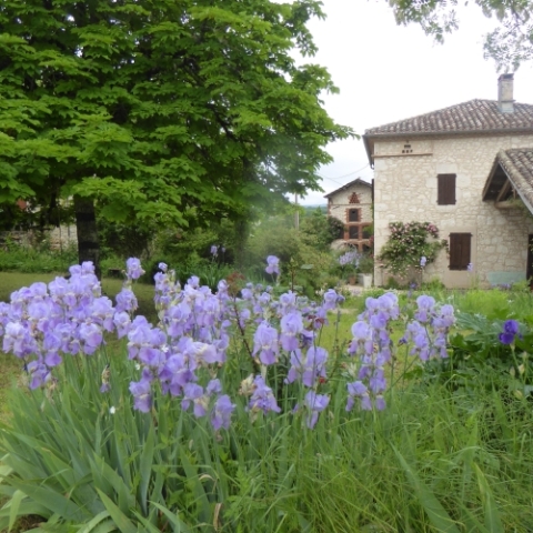 Domaine Peyres-Combe