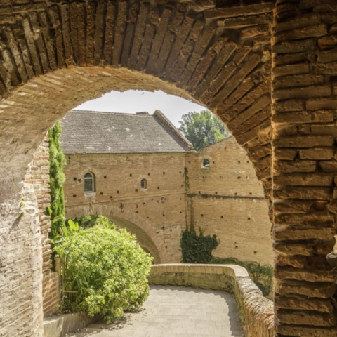 Balade enchantée au fil de l'eau