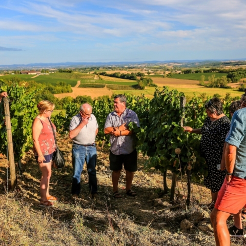 Apéritifs Fermiers chez les vignerons - Château de Lacroux