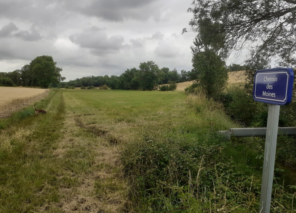 Visite guidée : « Des moines sur les chemins d'autrefois » - Grange cistercienne