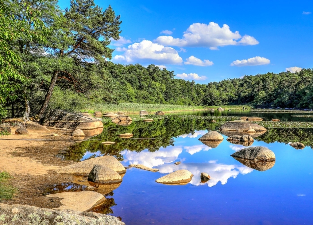 Exposition "Les formes de l'eau dans le Tarn". Photographies de Xavier Floutard-Vayleux