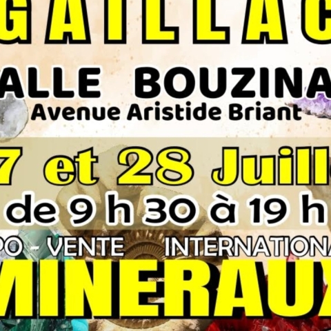Expo-vente internationale mineraux - Salle Bouzinac