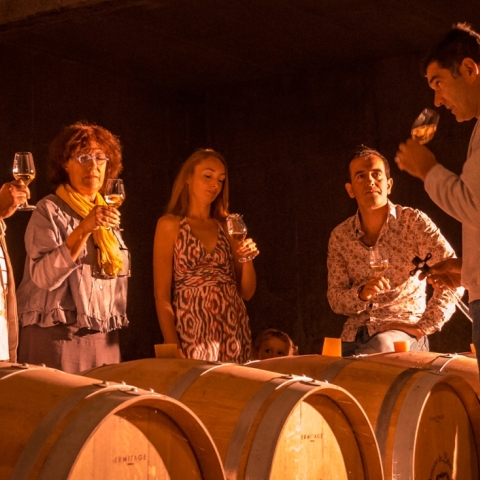 Atelier œnologie "Initiation privée aux vins de Gaillac"