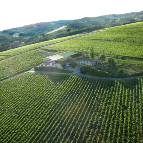 La Ginestade à Sainte-Cécile du Cayrou