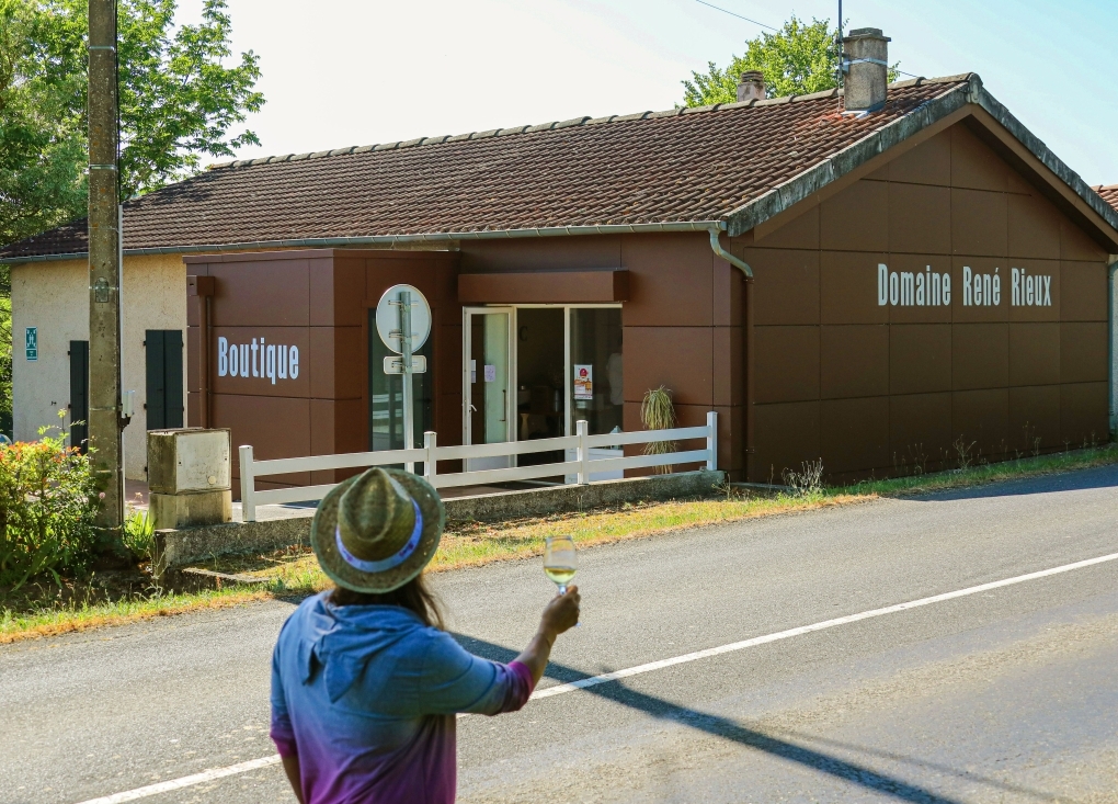 Découvertes des sens pour les enfants - fabrication de jus de raisin au Domaine René Rieux