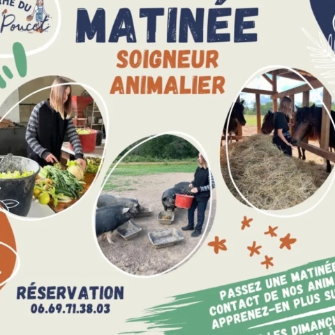 Une matinée en tant que soigneur animalier